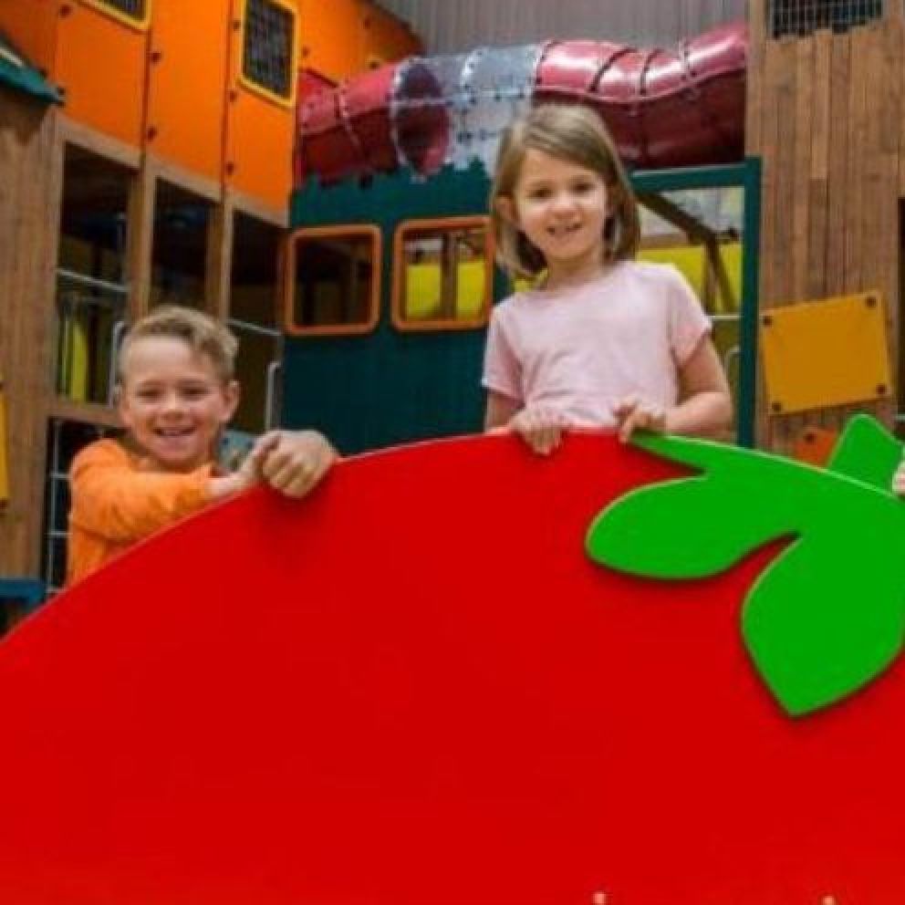 Kids playing in indoor play area