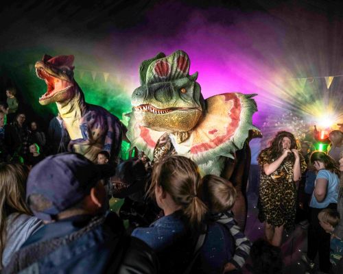 Dino Disco during Dino Week at Mead Open Farm