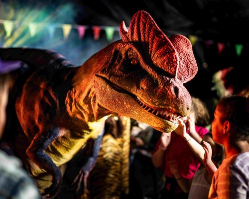 Meet the Dinos at Dino Week at Mead Open Farm