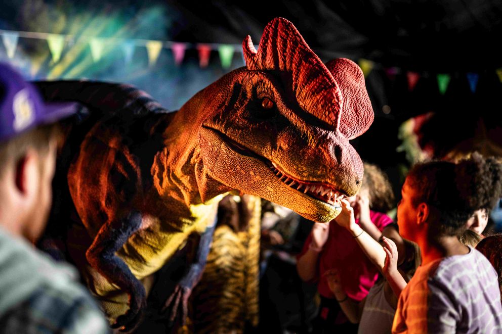 Meet the Dinos at Dino Week at Mead Open Farm