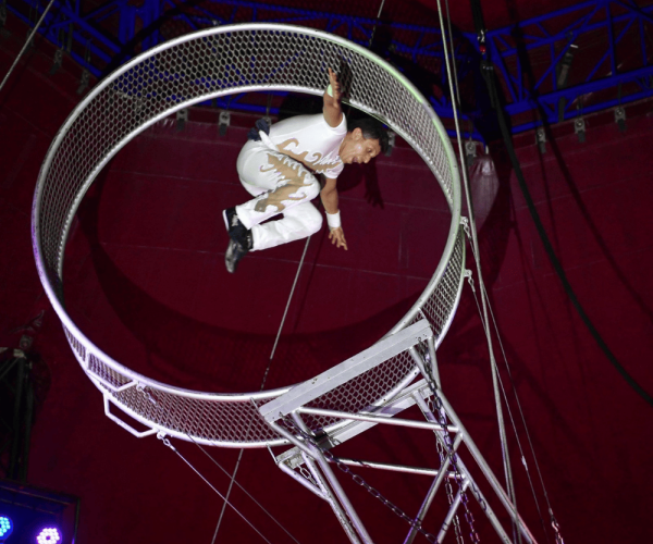 Wheel of Death at Mead Open Farm