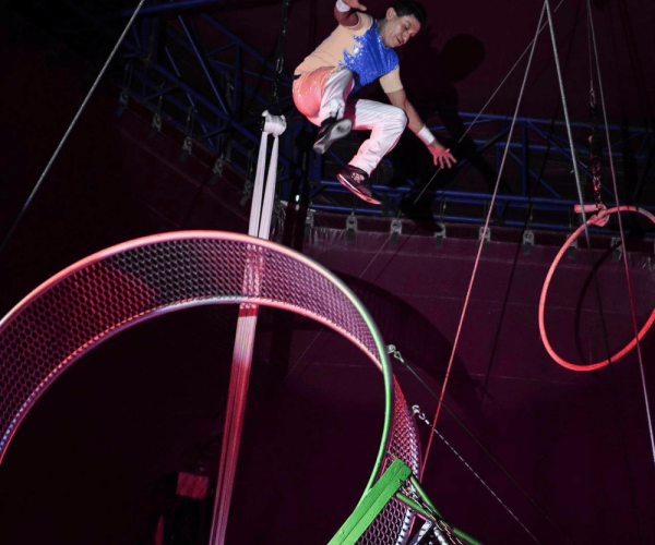 Wheel of Death at Mead Open Farm