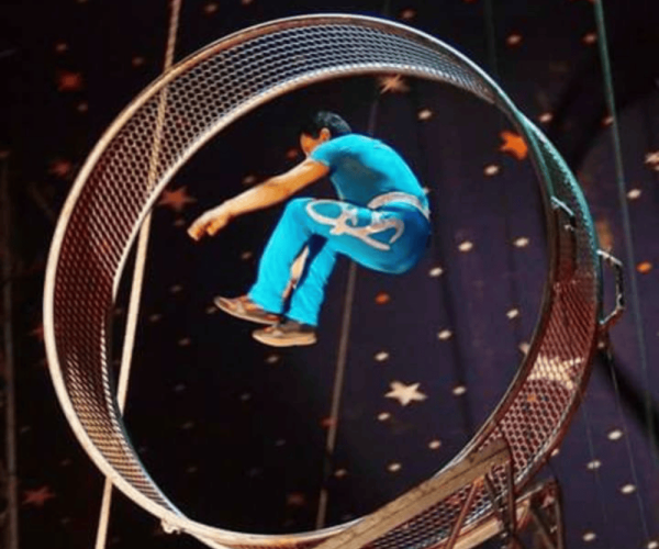 Wheel of Death at Mead Open Farm