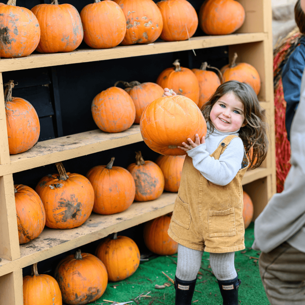 Pumpkin Patch at Mead Open Farm's Freaky Fun Fest