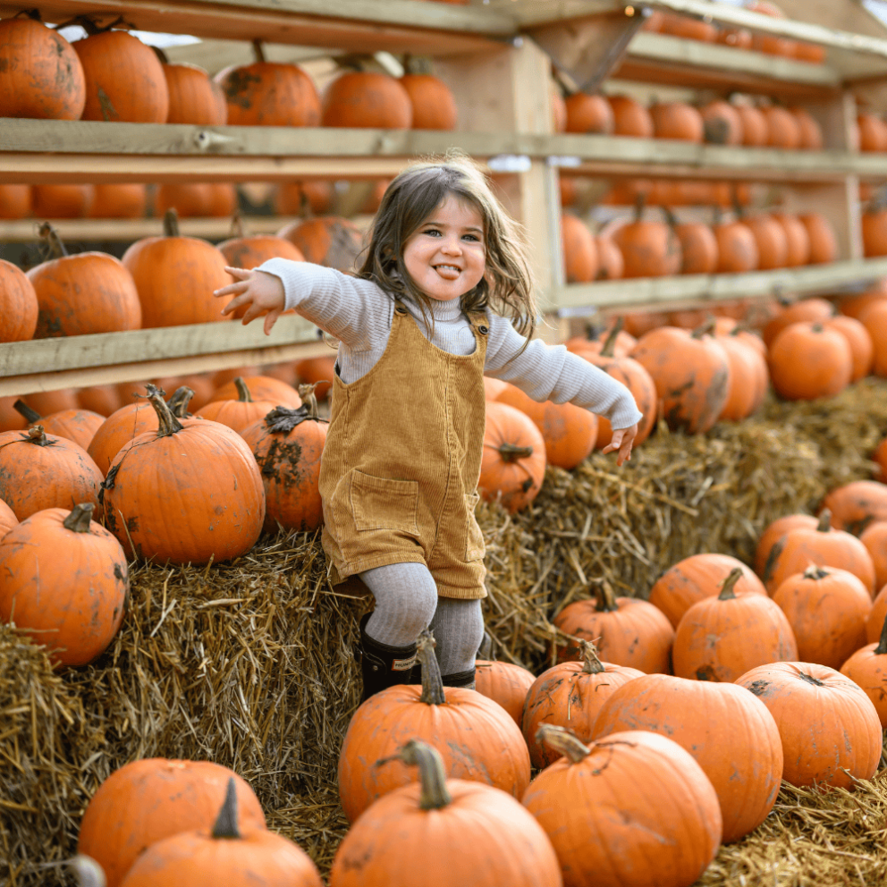 Pumpkin Patch at Mead Open Farm's Freaky Fun Fest