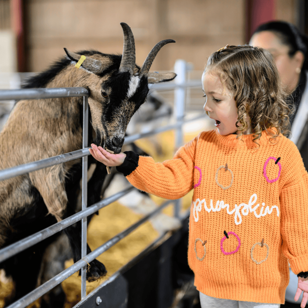 Freaky Fun Fest at Mead Open Farm