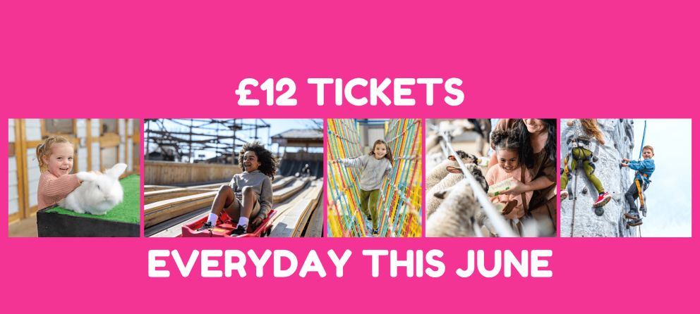 June Joy £12 Tickets at Mead Open Farm this June
