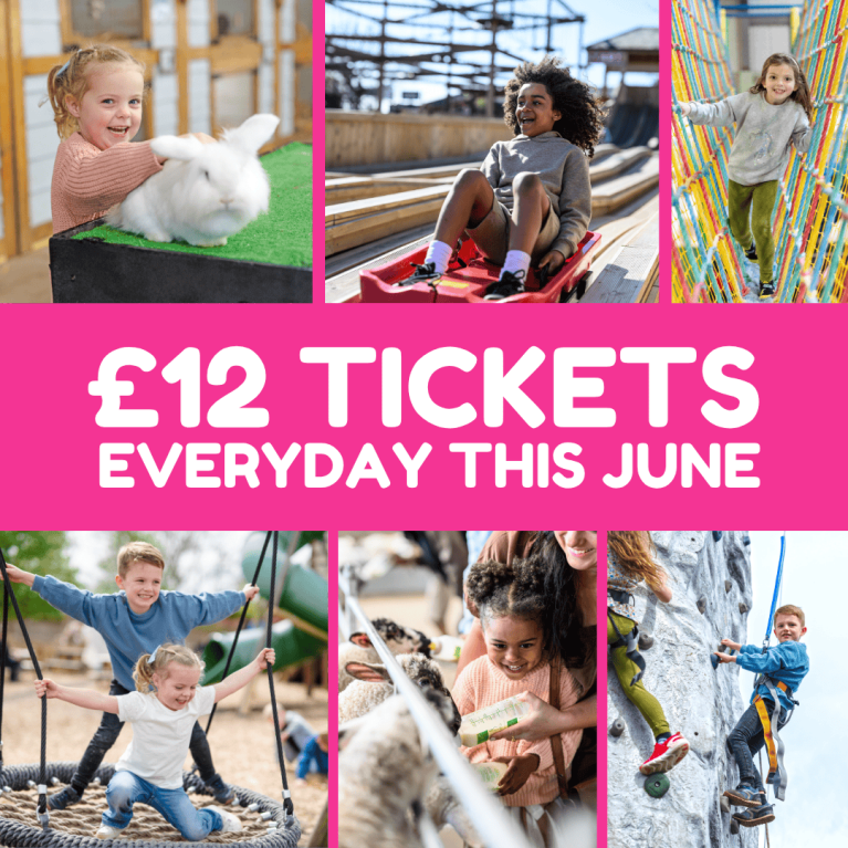 June Joy £12 Tickets at Mead Open Farm this June