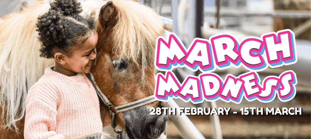 March Madness £12 Tickets at Mead Open Farm