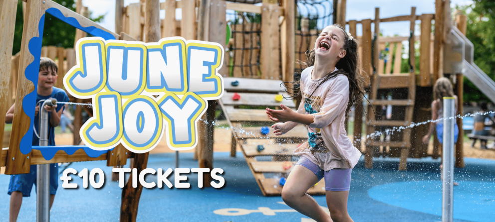 June Joy £12 Tickets at Mead Open Farm this June