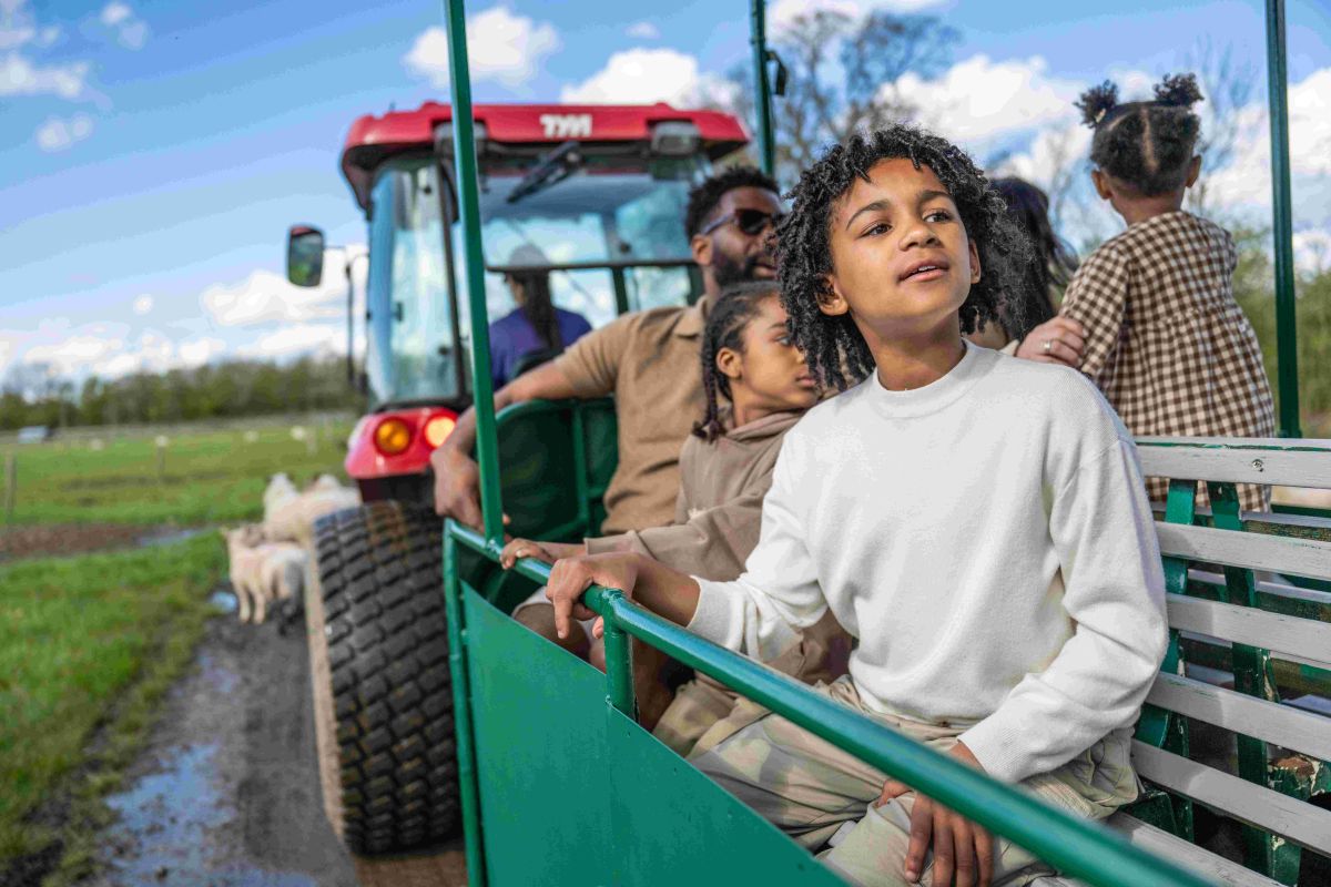 Tractor and Trailer Rides | Outdoor Play | Mead Open Farm