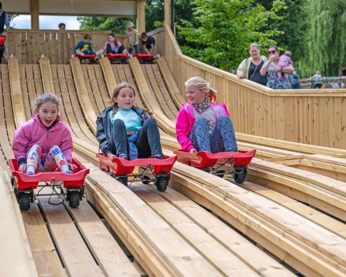 Shaggy's Raceway at Mead Open Farm
